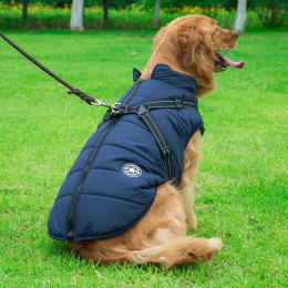 winter dog warm vest