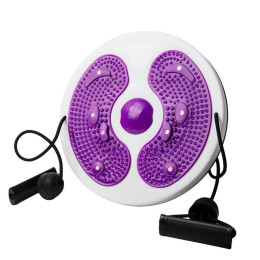 Waist Twist Fitness Disc