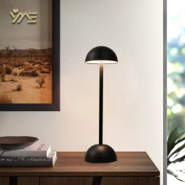 USB Rechargeable Cordless Mushroom Desk Lamp