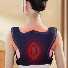 2in1 Back Support and Massager