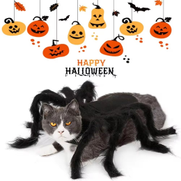 Halloween Spider Pet Costume