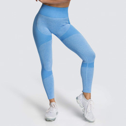 Seamless leggings yoga gym running pants female yoga pants fitness leggings