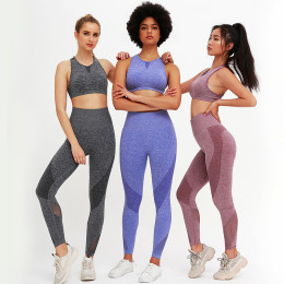 2PCS Mesh Seamless yoga set Sports Suits Women's Yoga Set High Waist GYM Fitness running Pants Top Sportswear Women Leggings+Bra