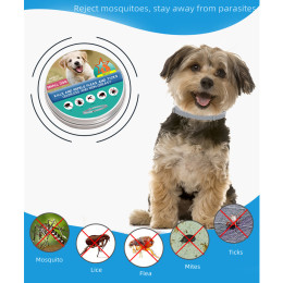 In vitro deworming collar for pets