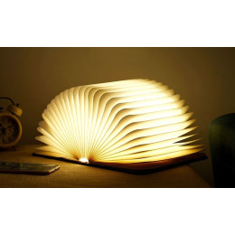 Foldable LED Book Lamp