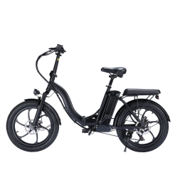2022 Electric Bike Lady Model - 350W, 48V