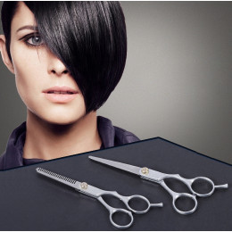 Professional Hairdressing Scissor Set