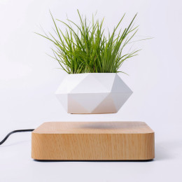 Magnetic levitation flowerpot