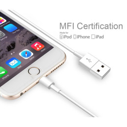 Apple MFI Certified Lightning to USB Cable for iphone