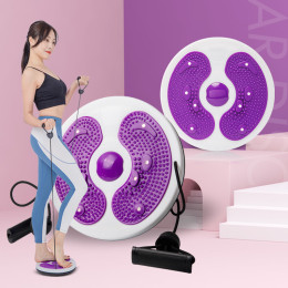 Waist Twist Disk Waist Exerciser