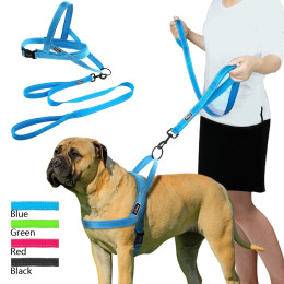 Adjustable Night Reflective Nylon Harness and Leash Set for Dogs Cats Pets