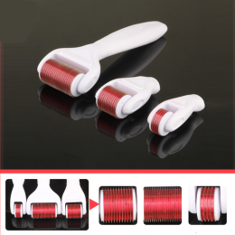 4 in 1 Derma roller