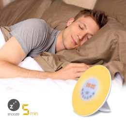 Sunrise Wake Up Light Alarm Clock Living Colors Table Lamp with FM